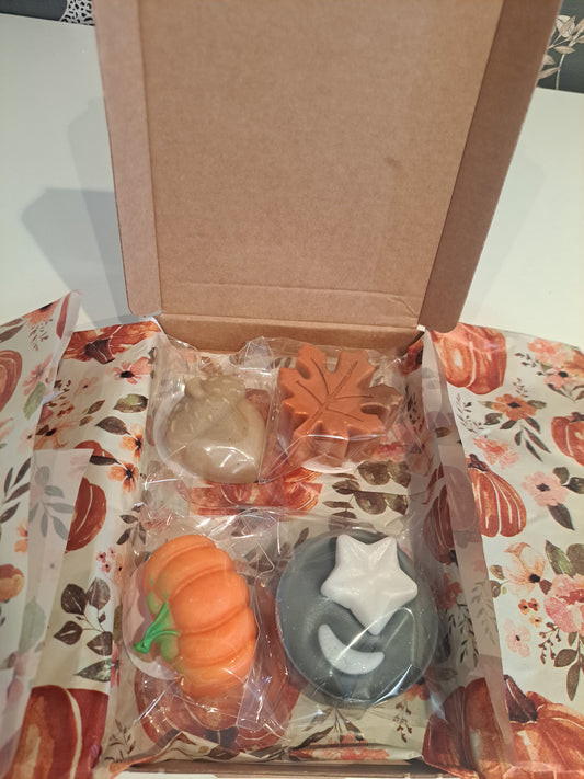 4 Autumn mystery boxes